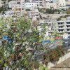 Bethlehem