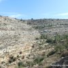 Battir-Tal