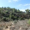 Durch&#039;s Battir-Tal