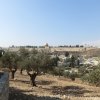 Am Königsweg nach Jerusalem