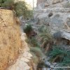 Durch&#039;s Wadi Qelt