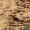 Eremit über dem St. Georgskloster im Wadi Qelt