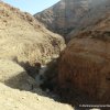 Durch&#039;s Wadi Qelt