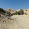 Ende des Wadi Qelt vor Jericho
